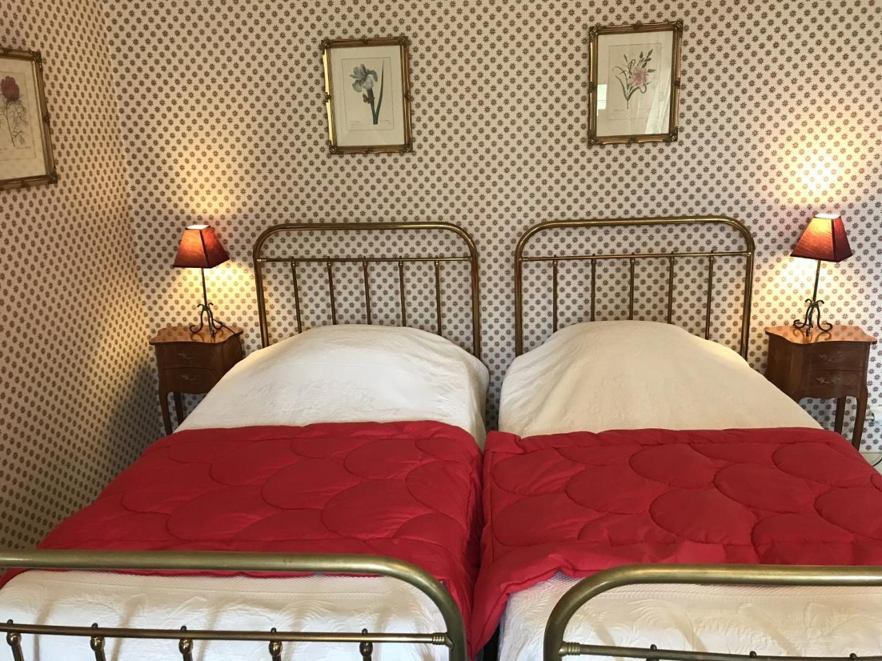 Bed And Breakfast - Chateau Du Vau Ballan-Miré Esterno foto